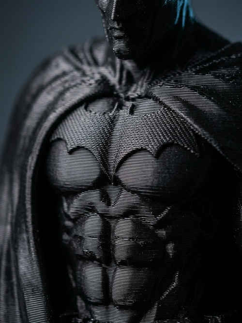 Shadow Vigilante Display Figure
